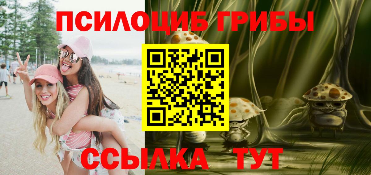 Галлюциногенные грибы Cubensis Коломна